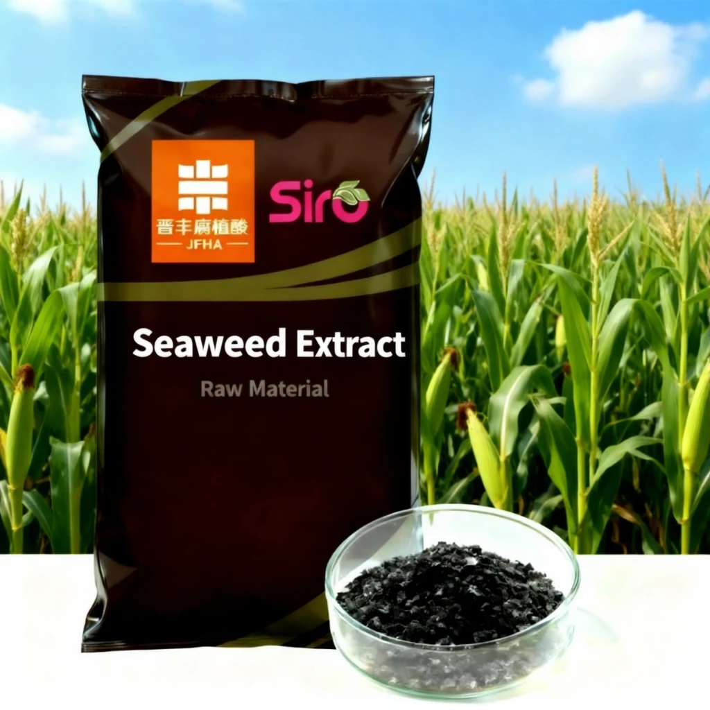 Seaweed Extract Raw Material Factory|Shanxi Jinfeng Biotechnology